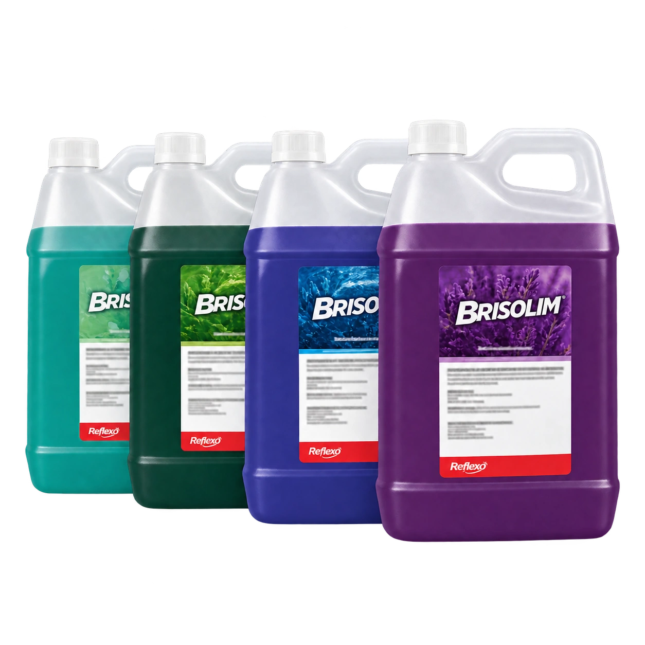 Brisolim Floral — apresentação do produto